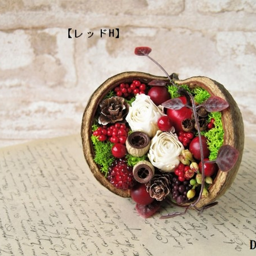 ブッダナッツのクリスマスアレンジメント（レッドH）【プリザーブド