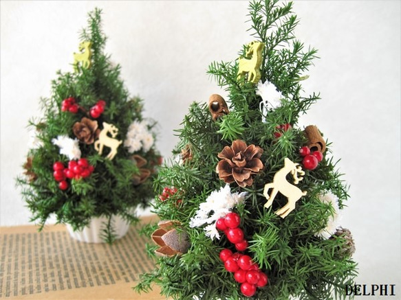 イマン、ダイアナローズ、バスケットローズ、クリスマスツリーとリースなど８点セット クリスマス・リース（9）～ Joyeux Noël ～ 29cm（プリザ