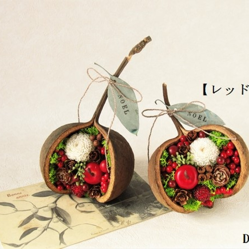 ブッダナッツ＊Xmas arrangement