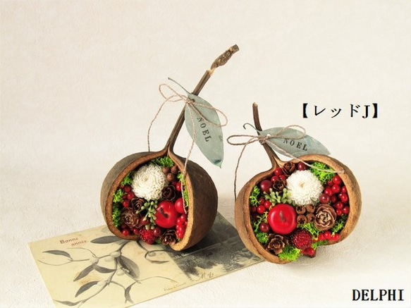 受注製作】～NOEL～ブッダナッツのクリスマスアレンジメント（レッドJ