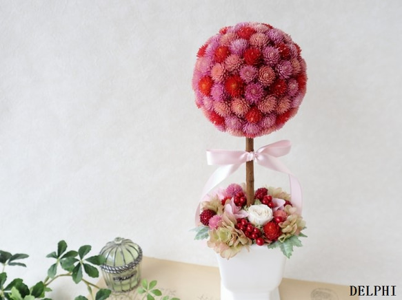 千日紅のトピアリー（レッドミックス A）【ドライ＆プリザーブド  