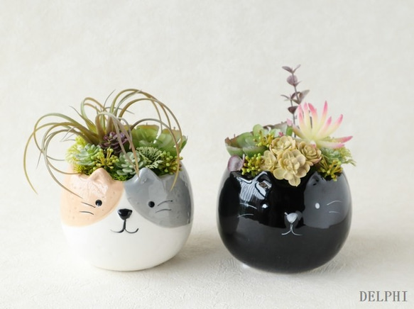 多肉植物の寄せ植えアレンジメント（黒猫）【アーティフィシャルフラワー】お誕生日祝い　ギフト　インテリアグリーン 5枚目の画像