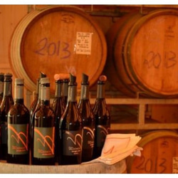 【アルナイオ】トスカーナの自然が育んだオーガニックワイン！ 3枚目の画像