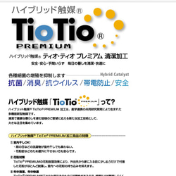 春色の新作 ペールブルー 高級レース 抗菌・抗ウィルス tiotio ノーズワイヤー フィルターポケット付 6枚目の画像