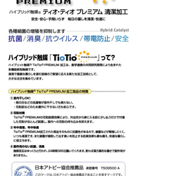 春色の新作 綿麻 リボン モチーフレース 抗菌・抗ウィルス tiotio 立体マスク 3枚目の画像