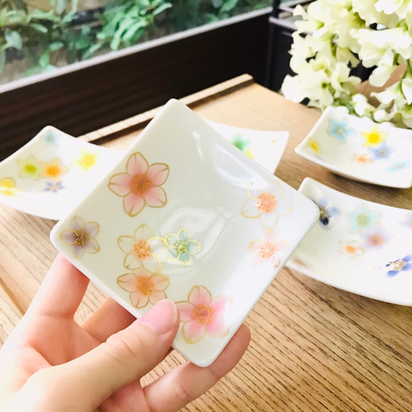 【特別セット価格】清水焼 角豆皿 桜シリーズ 5色セット 3枚目の画像
