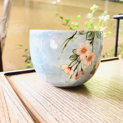 清水焼 小鉢(大) しだれ桜-水色地 3枚目の画像