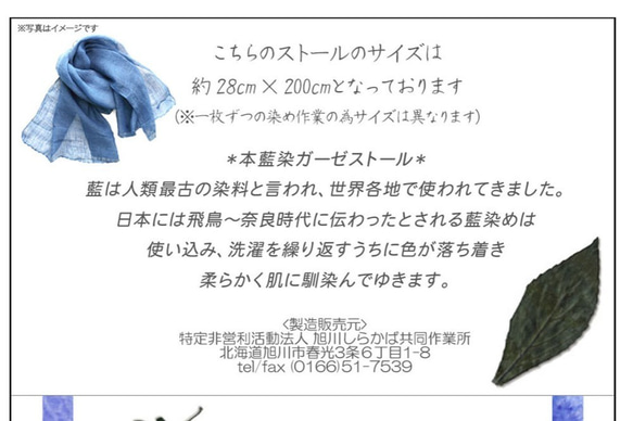 【送料無料】ボーダー+小丸　本藍染め　ガーゼ　cotton　ストール　母の日　天然素材　世界に1つだけ　プチギフト 6枚目の画像