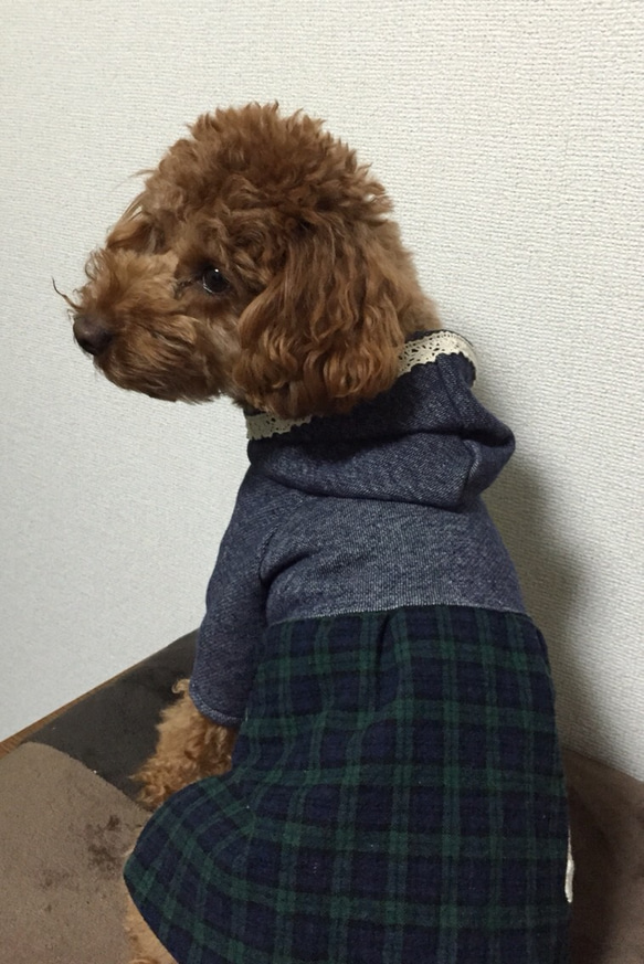 ”SALE”　パーカーワンピ  レース付き（犬服） 2枚目の画像