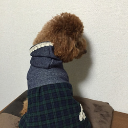 ”SALE”　パーカーワンピ  レース付き（犬服） 3枚目の画像