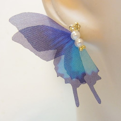 シフォン 蝶 パール加工パーツ　アゲハ蝶 グラデーションブルー 1枚目の画像