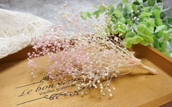ブリザーブドフラワー かすみ草 つぼみ　ホワイト　ピンク 1枚目の画像