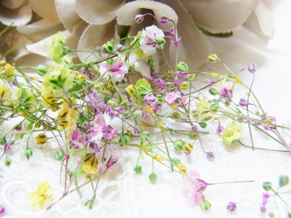 花材　ドライフラワー　かすみ草　３色ミックス 3枚目の画像