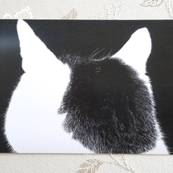 猫の後頭部ポストカード（モモ） 1枚目の画像