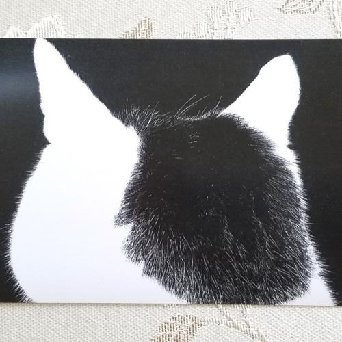黒額縁ご確認ページ　「プカプカ猫」 Fuwa decot.（くろねこちゃん） | すべての商品 | エイこれット