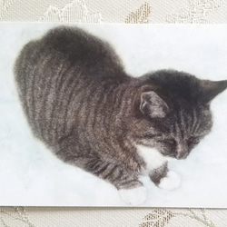 猫の後頭部ポストカード（おすわり） 1枚目の画像
