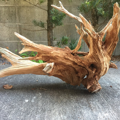 枯木。自然に枯れた木の肌が特長出す為、磨きはかけています。 木材