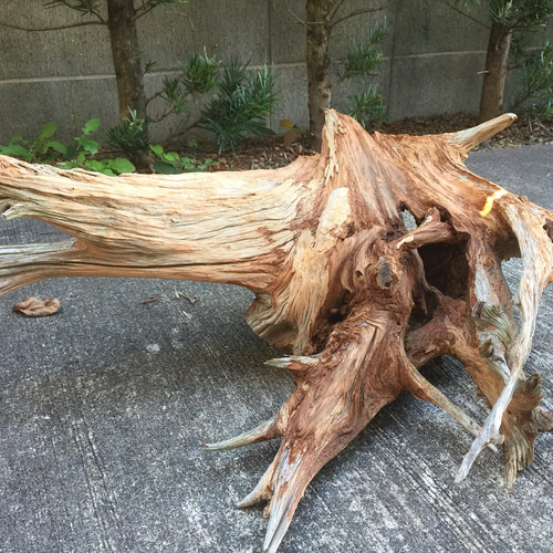 枯木。自然に枯れた木の肌が特長出す為、磨きはかけています。 木材