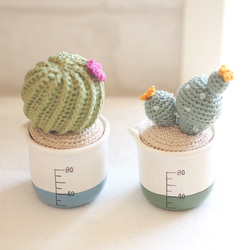NEW‼【編み物キット】かぎ針で編む 小さなサボテン・多肉植物キット  (マスタードポット) 3枚目の画像