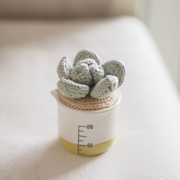 NEW‼【編み物キット】かぎ針で編む 小さなサボテン・多肉植物キット  (マスタードポット) 5枚目の画像