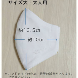 即納（大人用）抗菌・抗ウイルス加工の特殊生地使用　洗える立体布マスク！ 裏地までかわいい！ 3枚目の画像