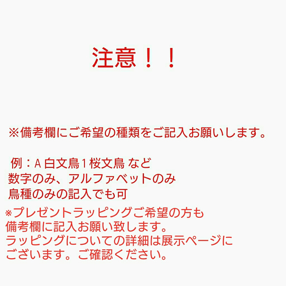 小鳥と木の実のイヤリング 5枚目の画像