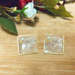 ヘビの抜け殻ピアス*本物の白蛇の抜け殻* ピアス（スタッド・一粒