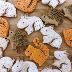 ヘビの抜け殻ピアス*本物の白蛇の抜け殻* ピアス（スタッド・一