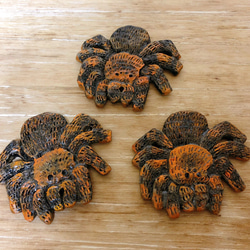 ヘビの抜け殻ピアス*本物の白蛇の抜け殻* ピアス（スタッド・一