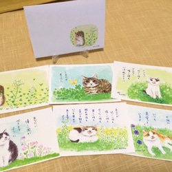外国産猫☆通常はがきＡ（インクジェット紙）８０☆ 楽天市場】絵葉書 はがき 和紙 猫 ねこ 蚊取り線香 ポストカード