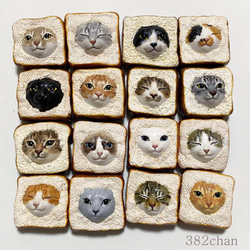 ねこぱん 0_bf11f0f88f1d894b18ee4f4d1367