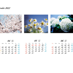 Calendar 2022 4枚目の画像