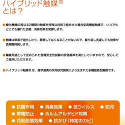 【送料無料】紙布マスク兼用インナーマスクプロのハンドメイド　抗ウイルス•抗菌•防臭効果　TioTio®PREMIUM 5枚目の画像