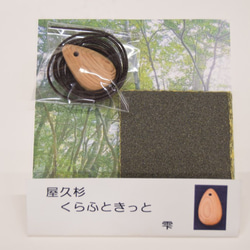 屋久杉 香合 2 その他インテリア雑貨 杉の舎 通販 9953180