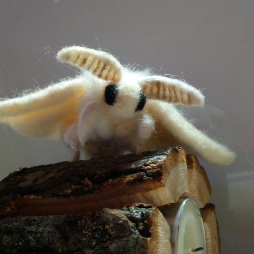 羊毛フェルト 蚕 羊毛フェルト 【bags factory】むいむい 通販 9222497