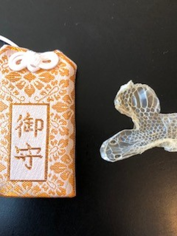 白蛇 抜け殻 御守り アート作品 鞄 小物 大切なもの 頭・尻尾