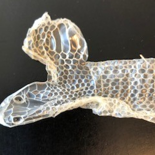 白蛇 抜け殻 御守り アート作品 鞄 小物 大切なもの ブローチ おそうじ 