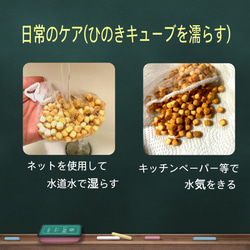 ◆天然加湿&アロマ◆ ひのきキューブとエアプランツ　ひのきの香り　ウッドトレー付　天然素材アロマ　2021年春 8枚目の画像