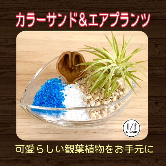 ◇カラーサンド＆エアプランツ◇ 簡単！自分で作るインテリアシリーズ 