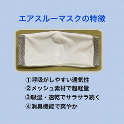 【夏マスク】繰り返し洗える　メッシュ　吸湿・速乾・消臭　蒸れないマスク　エアスルーマスク 3枚目の画像