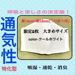 【夏マスク】繰り返し洗える　メッシュ　吸湿・速乾・消臭　蒸れないマスク　エアスルーマスク 1枚目の画像