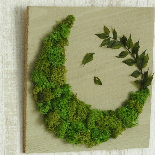 苔の月』◇趣（をかし）～苔アート（壁掛け）～ タペストリー・壁掛け