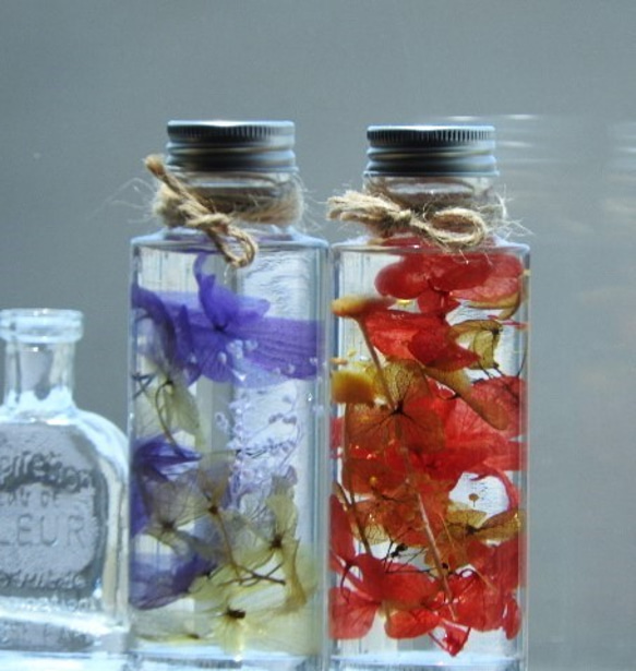 〜秋天的繡球花·植物標本館◆S尺寸2件套〜 第1張的照片