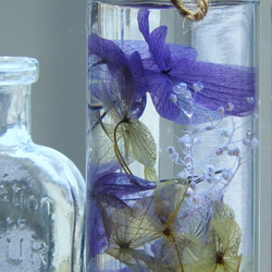 〜秋天的繡球花·植物標本館◆S尺寸2件套〜 第4張的照片
