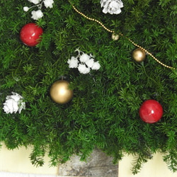 點 - 壁掛式仿古★聖誕樹 - 第2張的照片