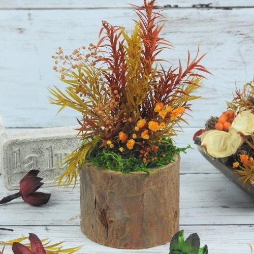 秋の森◇箱庭BONSAI」～お手入れ不要のプリザーブドグリーン盆栽 