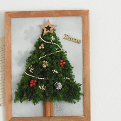 【Creema限定】「雪のXmasツリー」～壁掛け★スギのMini・クリスマスツリー～ 2枚目の画像