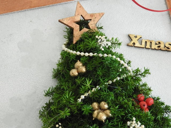 【Creema限定】「雪のXmasツリー」～壁掛け★スギのMini・クリスマスツリー～ 4枚目の画像