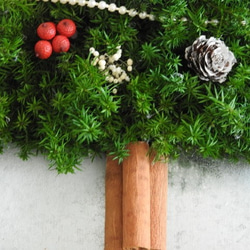 【Creema限定】「雪のXmasツリー」～壁掛け★スギのMini・クリスマスツリー～ 5枚目の画像