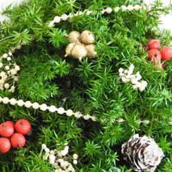 【Creema限定】「雪のXmasツリー」～壁掛け★スギのMini・クリスマスツリー～ 6枚目の画像